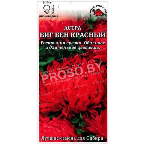 Астра пионовидная Биг бен красный