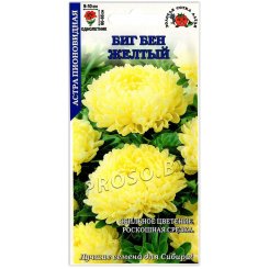 Астра пионовидная Биг бен желтый