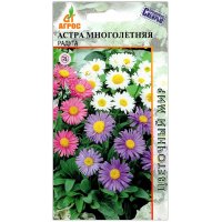 Астра Радуга, смесь