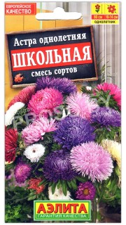 Астра Школьная, смесь
