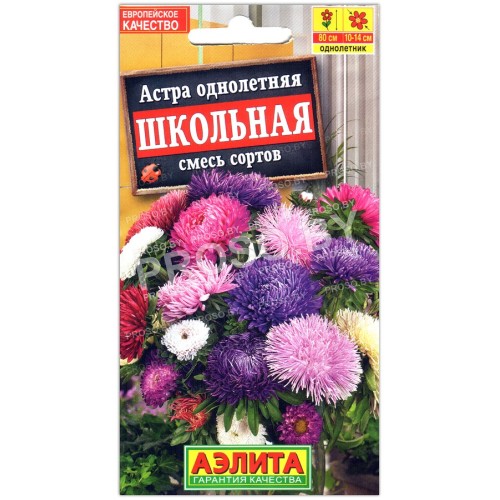 Астра Школьная, смесь