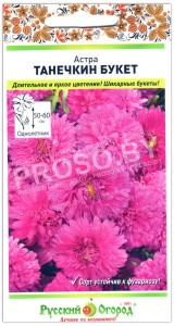 Астра Танечкин букет