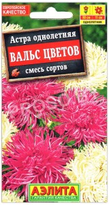 Астра Вальс цветов, смесь