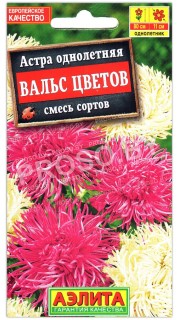 Астра Вальс цветов, смесь