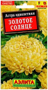 Астра Золотое солнце