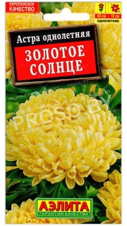 Астра Золотое солнце