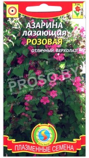 Азарина лазающая Розовая