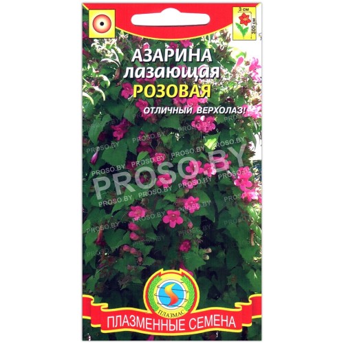 Азарина лазающая Розовая