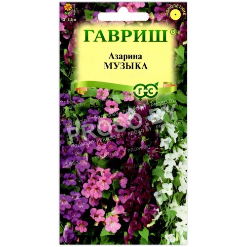 Азарина Музыка