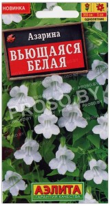 Азарина Вьющаяся белая