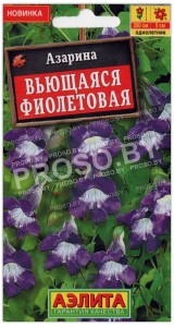 Азарина Вьющаяся фиолетовая