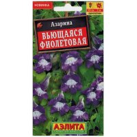 Азарина Вьющаяся фиолетовая