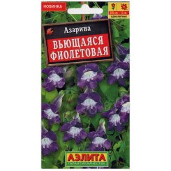 Азарина Вьющаяся фиолетовая