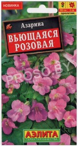 Азарина Вьющаяся розовая