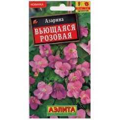 Азарина Вьющаяся розовая