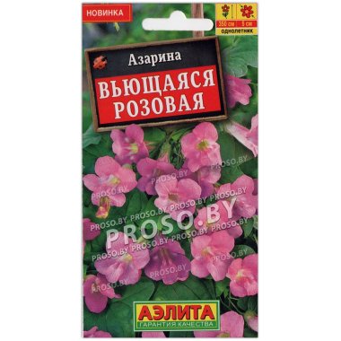 Азарина Вьющаяся розовая