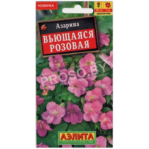 Азарина Вьющаяся розовая