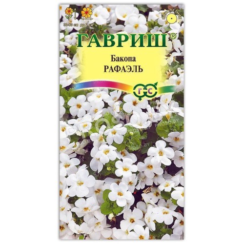 Бакопа Рафаэль