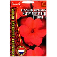 Бальзамин ампельный Имара лососевые оттенки F1
