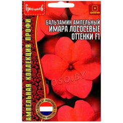Бальзамин ампельный Имара лососевые оттенки F1