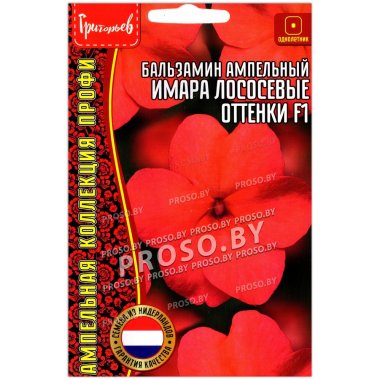 Бальзамин ампельный Имара лососевые оттенки F1