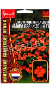 Бальзамин ампельный Имара оранжевый F1