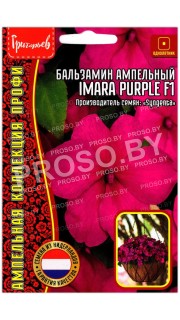 Бальзамин ампельный Imara purple F1
