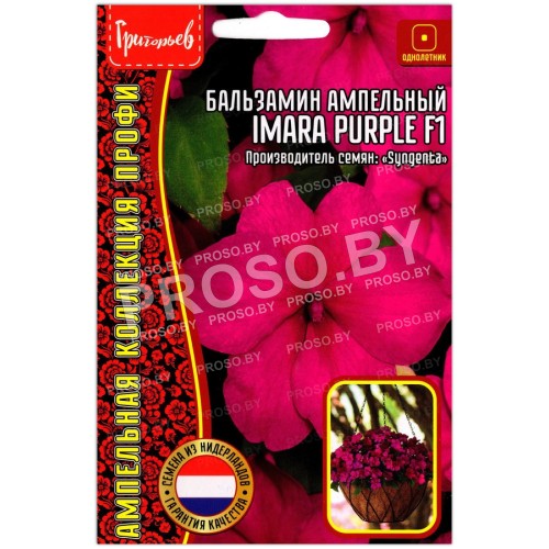 Бальзамин ампельный Imara purple F1