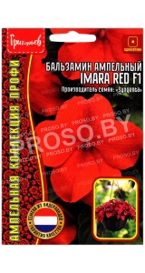 Бальзамин ампельный Imara red F1