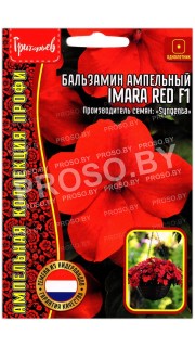 Бальзамин ампельный Imara red F1