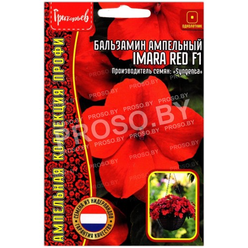 Бальзамин ампельный Imara red F1