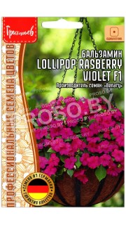 Бальзамин Lollipop rasberry violet F1