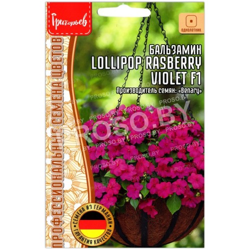 Бальзамин Lollipop rasberry violet F1