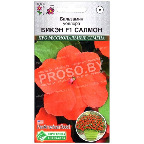 Бальзамин уоллера Бикэн салмон F1