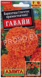 Бархатцы (тагетес) Гавайи