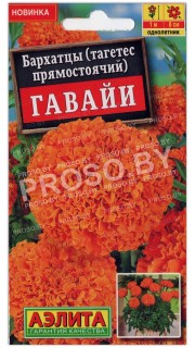 Бархатцы (тагетес) Гавайи