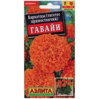 Бархатцы (тагетес) Гавайи