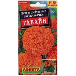 Бархатцы (тагетес) Гавайи