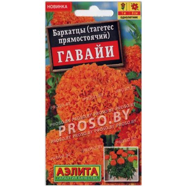 Бархатцы Гавайи