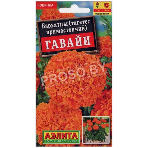 Бархатцы Гавайи