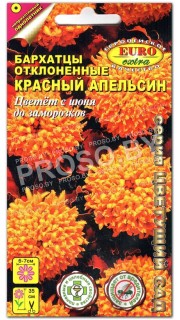 Бархатцы Красный апельсин