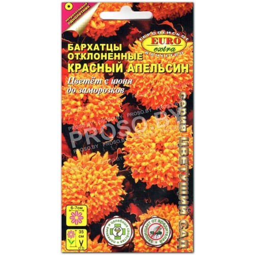 Бархатцы Красный апельсин