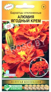 Бархатцы отклоненные Алюмия ягодный крем