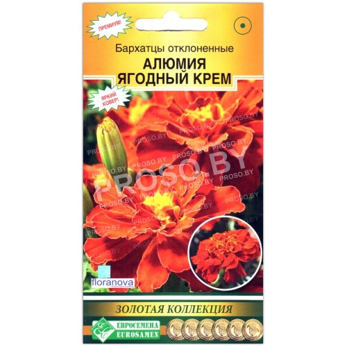 Бархатцы отклоненные Алюмия ягодный крем