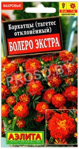 Бархатцы отклоненные Болеро экстра