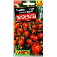 Бархатцы отклоненные Болеро экстра