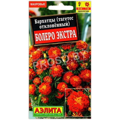 Бархатцы отклоненные Болеро экстра