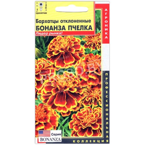 Бархатцы отклоненные Бонанза пчелка