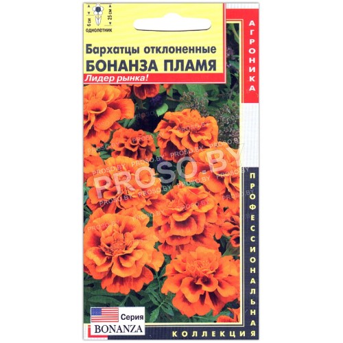 Бархатцы отклоненные Бонанза пламя
