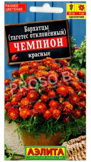 Бархатцы отклоненные Чемпион красные